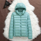AURORA WINDPROOF JACKET